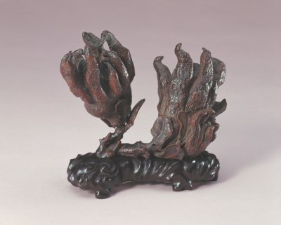 图片[1]-Zhu Xiaosong made bergamot with bamboo roots-China Archive